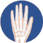Icono de la muñeca y la mano, zona que cuida Activium